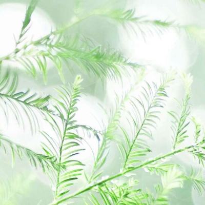 快3彩票软件